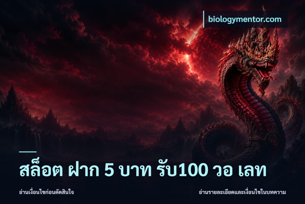 สล็อต ฝาก 5 บาท รับ100 วอ เลท