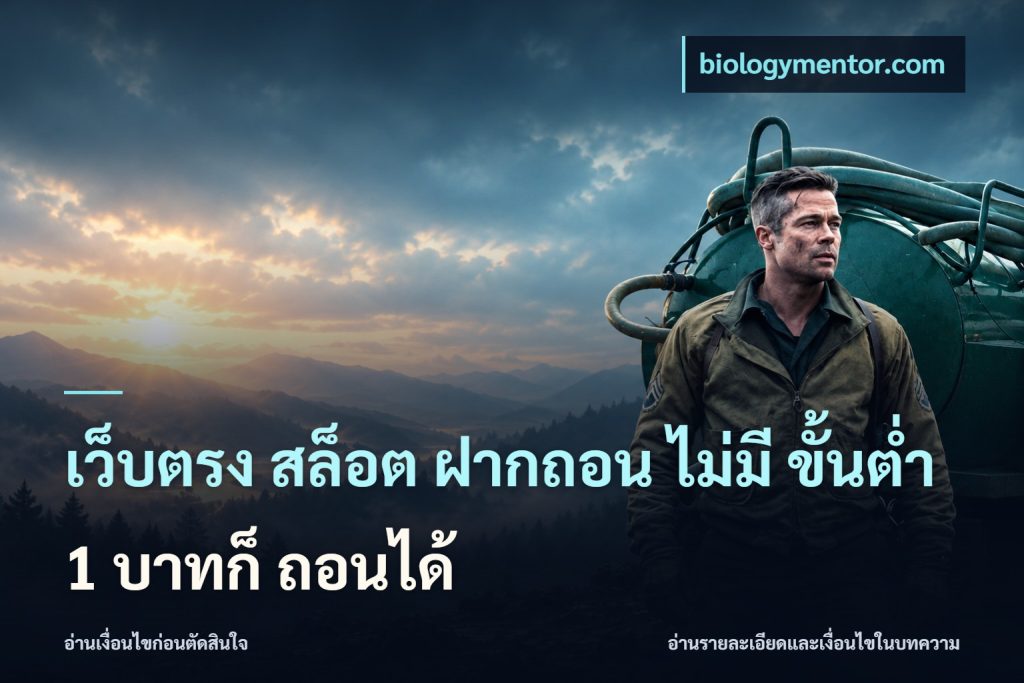 เว็บตรง สล็อต ฝากถอน ไม่มี ขั้นต่ำ 1 บาทก็ ถอนได้