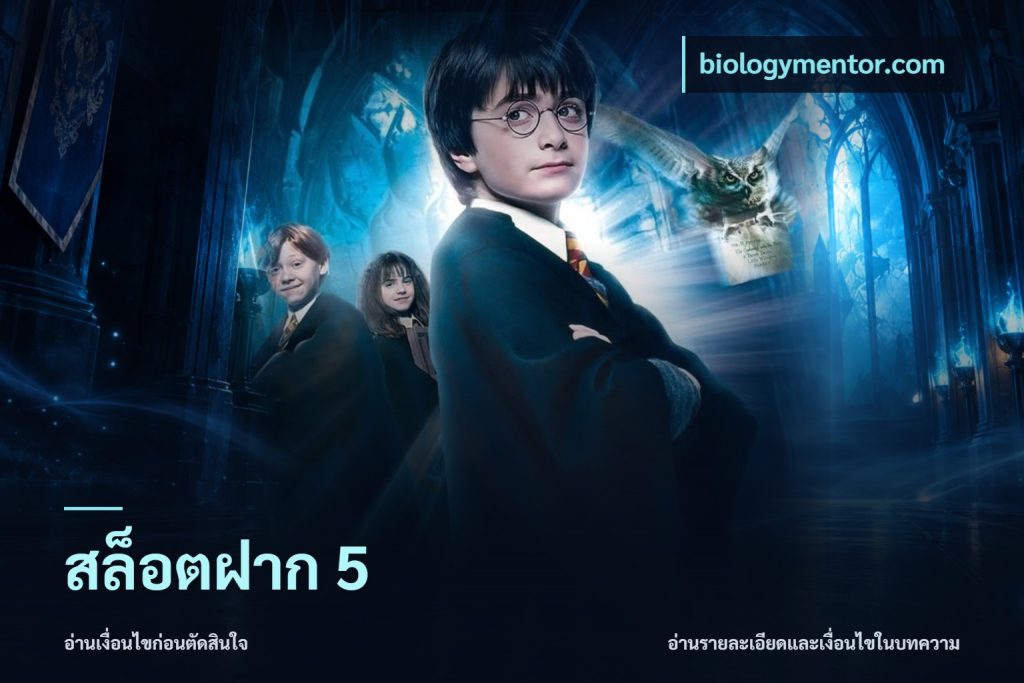 สล็อตฝาก 5