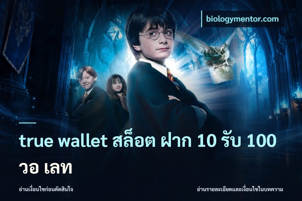 true wallet สล็อต ฝาก 10 รับ 100 วอ เลท