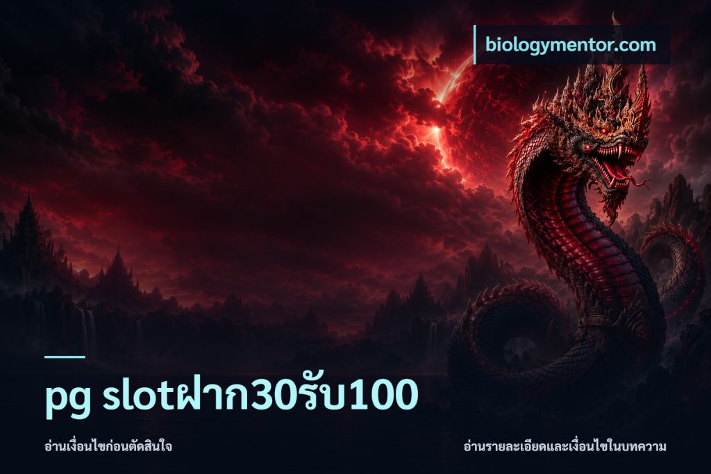 pg slotฝาก30รับ100