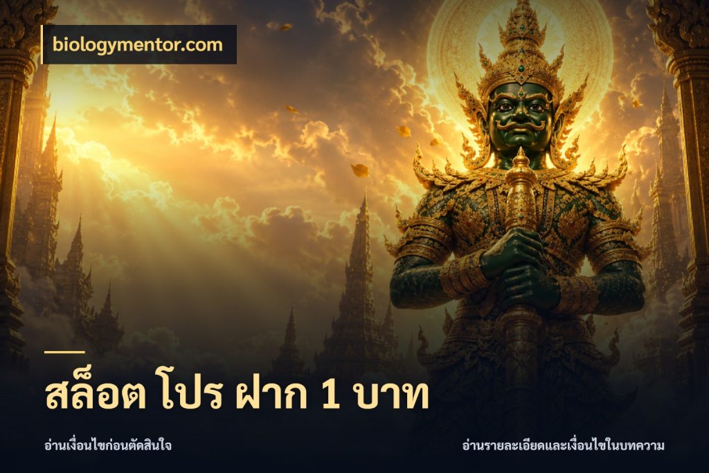 สล็อต โปร ฝาก 1 บาท ยอดเริ่มต้นน่าจับตากับสิทธิ์ที่เกี่ยวข้อง สไตล์ biologymentor.com