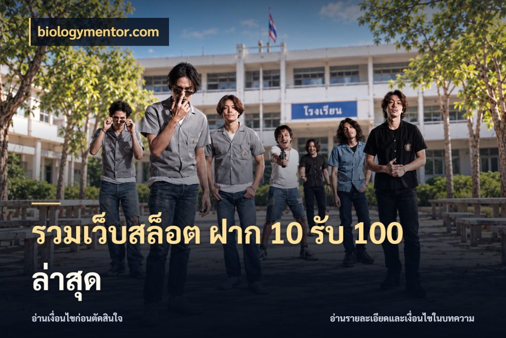 รวมเว็บสล็อต ฝาก 10 รับ 100 ล่าสุด โปรกับเกมที่ชอบเลือกให้ตรงสไตล์ สไตล์ biologymentor.com