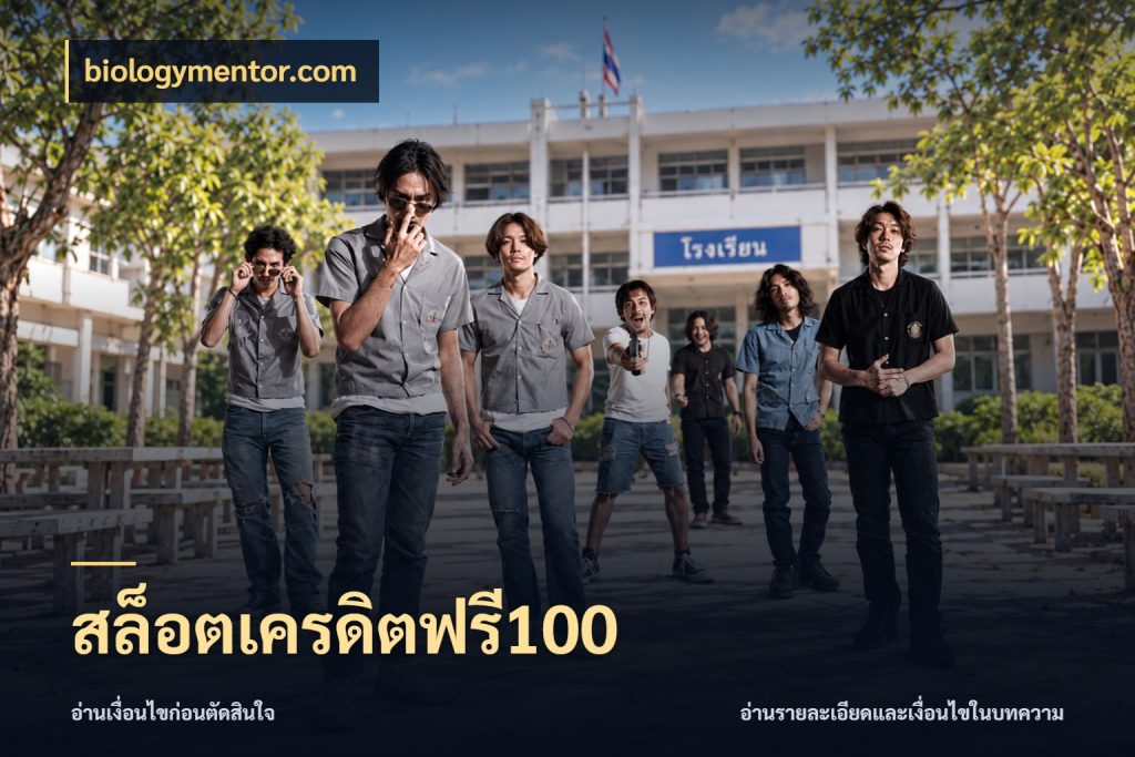 สล็อตเครดิตฟรี100 biologymentor.com สิทธิ์ที่สายโบนัสสนใจกับวิธีรับ