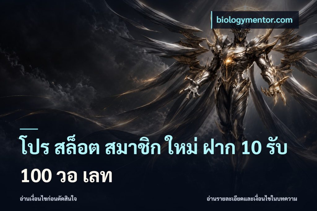 โปร สล็อต สมาชิก ใหม่ ฝาก 10 รับ 100 วอ เลท