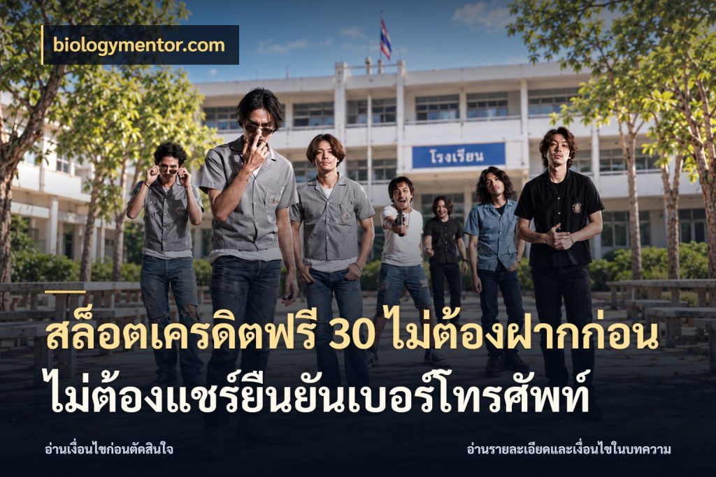 สล็อตเครดิตฟรี 30 ไม่ต้องฝากก่อนไม่ต้องแชร์ยืนยันเบอร์โทรศัพท์ สายโบนัสเลือกมุมเครดิตให้ตรงสไตล์ สไตล์ biologymentor.com