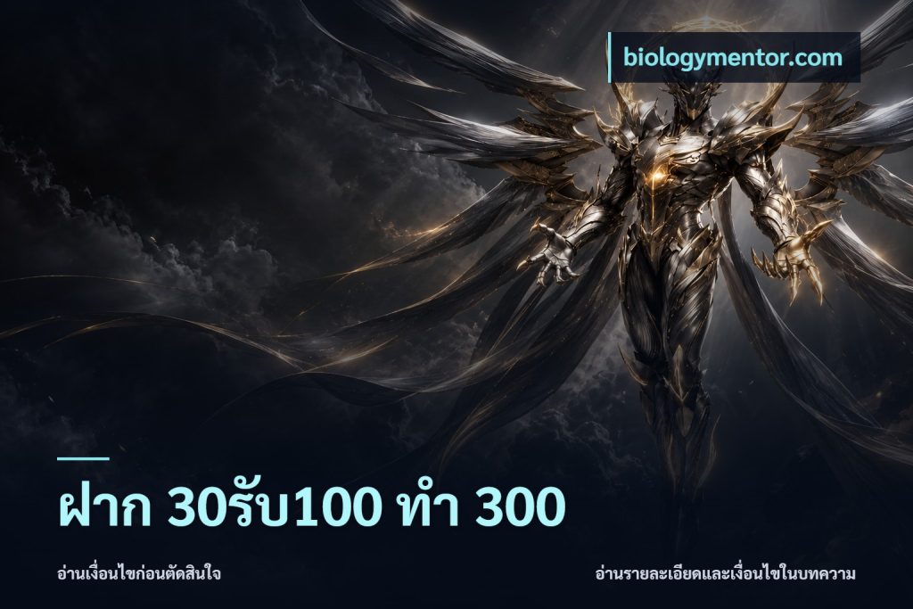 ฝาก 30รับ100 ทำ 300