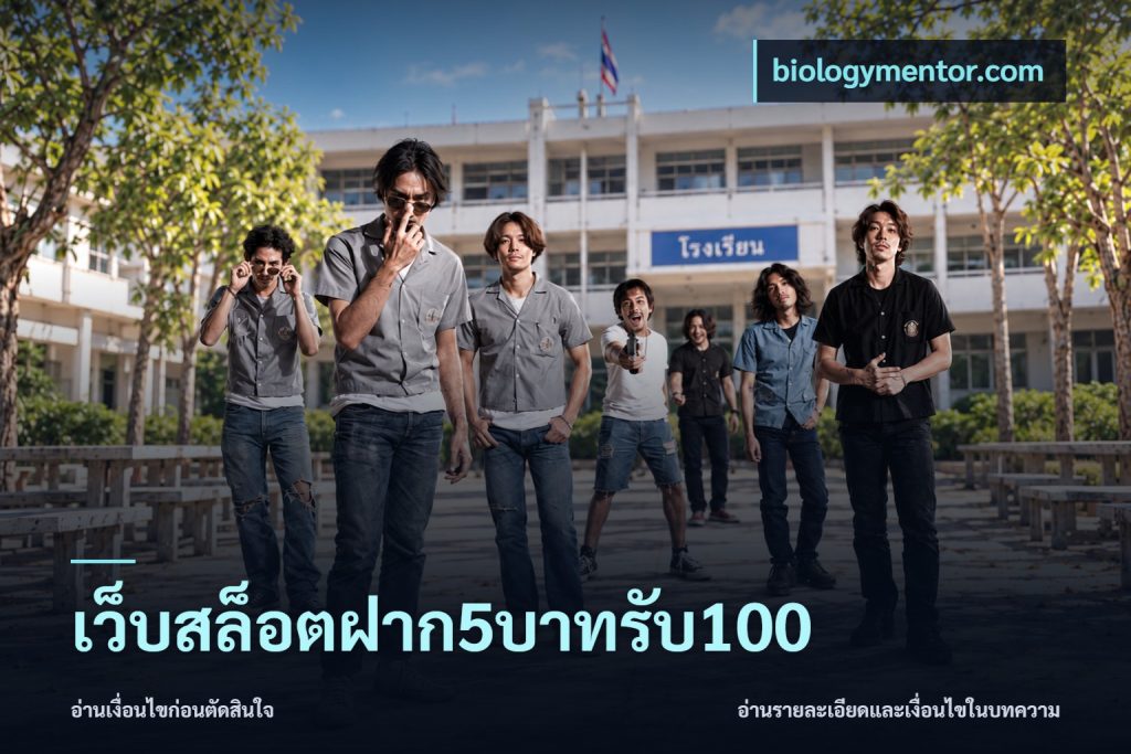 เว็บสล็อตฝาก5บาทรับ100