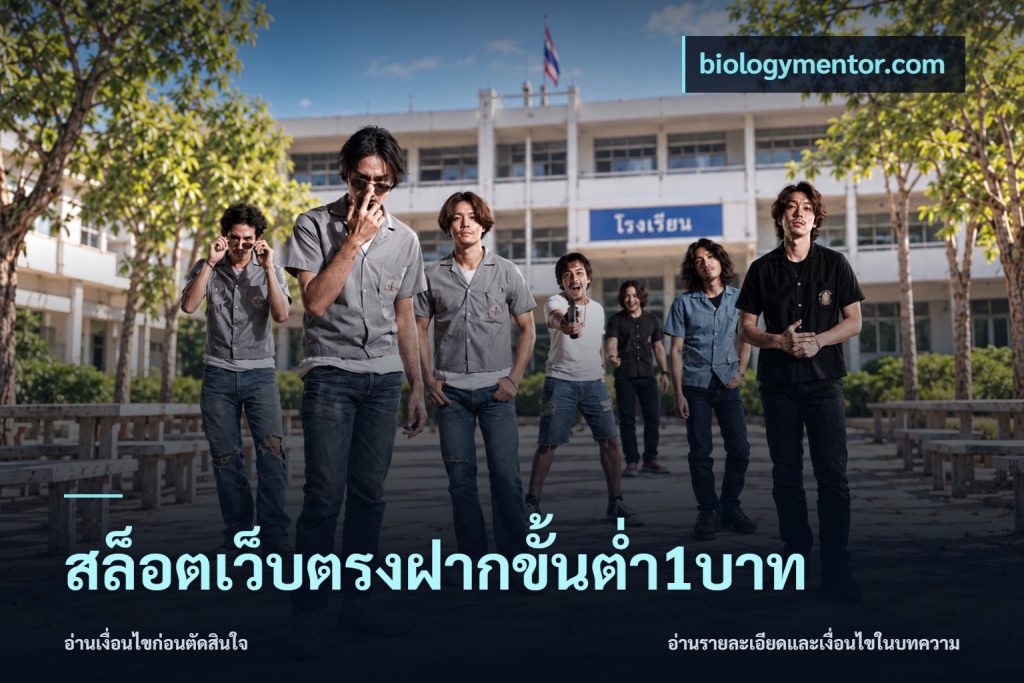 สล็อตเว็บตรงฝากขั้นต่ำ1บาท