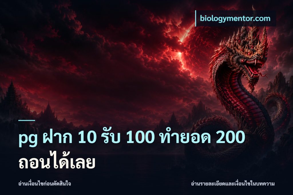 pg ฝาก 10 รับ 100 ทำยอด 200 ถอนได้เลย