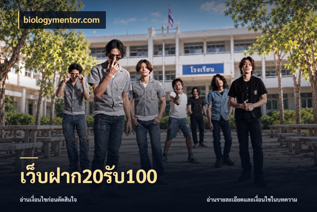 เว็บฝาก20รับ100 รูปแบบโบนัสกับสิทธิ์ของสายเกม ในมุม biologymentor.com