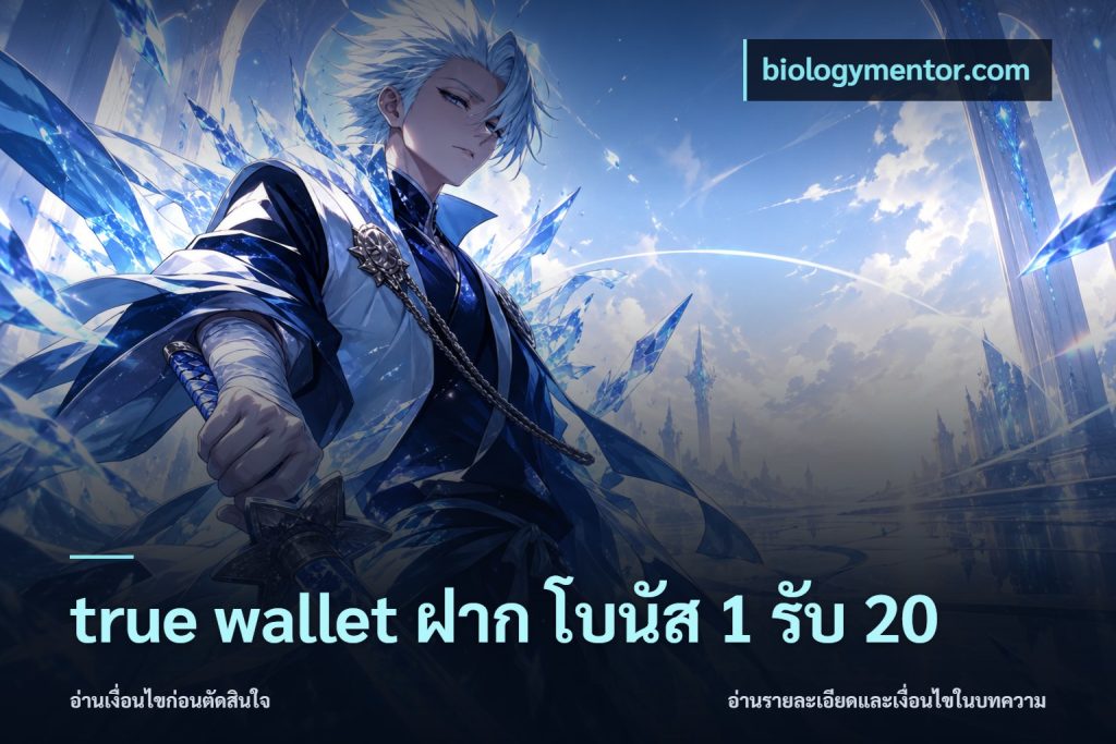 true wallet ฝาก โบนัส 1 รับ 20