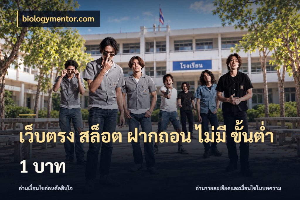 เว็บตรง สล็อต ฝากถอน ไม่มี ขั้นต่ํา 1 บาท เกมที่ชอบในขอบเขตเงินของตัวเอง กับ biologymentor.com