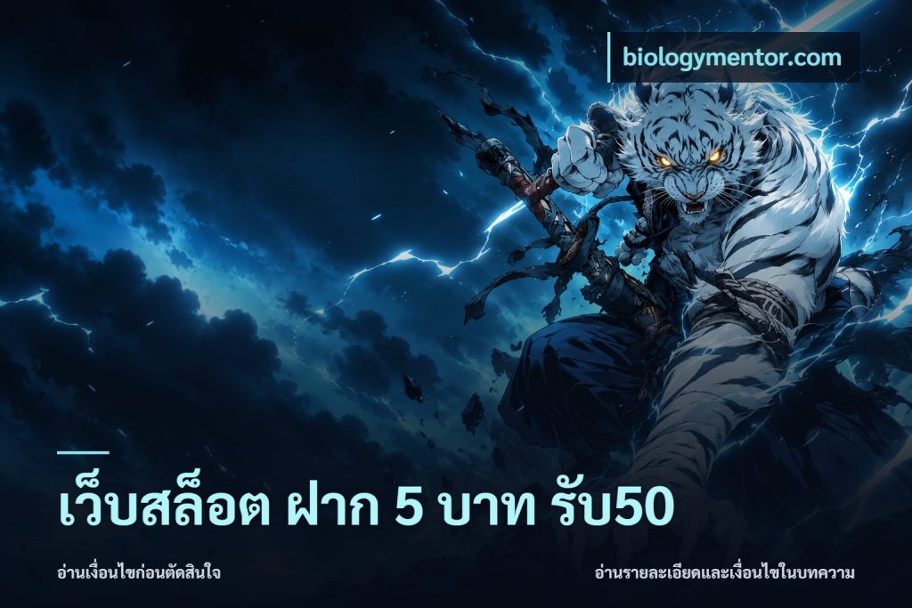 เว็บสล็อต ฝาก 5 บาท รับ50