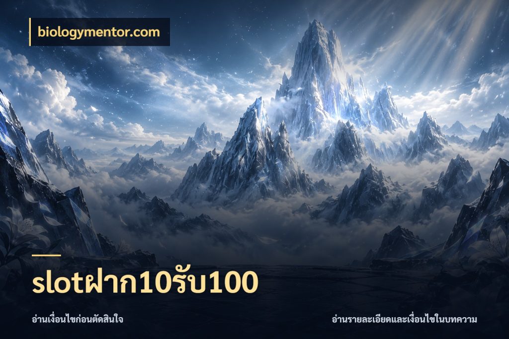 slotฝาก10รับ100 biologymentor.com เครดิตกับรูปแบบโปรที่ตรงใจ