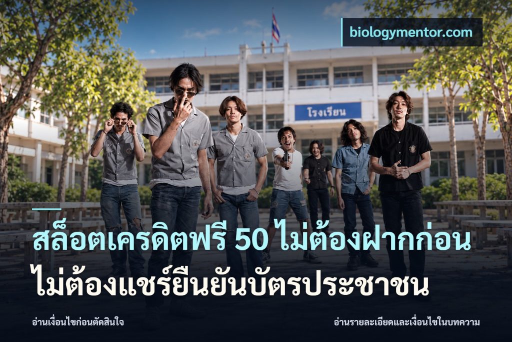 สล็อตเครดิตฟรี 50 ไม่ต้องฝากก่อนไม่ต้องแชร์ยืนยันบัตรประชาชน
