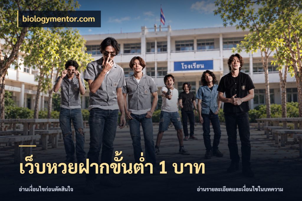 เว็บหวยฝากขั้นต่ำ 1 บาท รูปแบบยอดกับขอบเขตของสายหวย ในมุม biologymentor.com