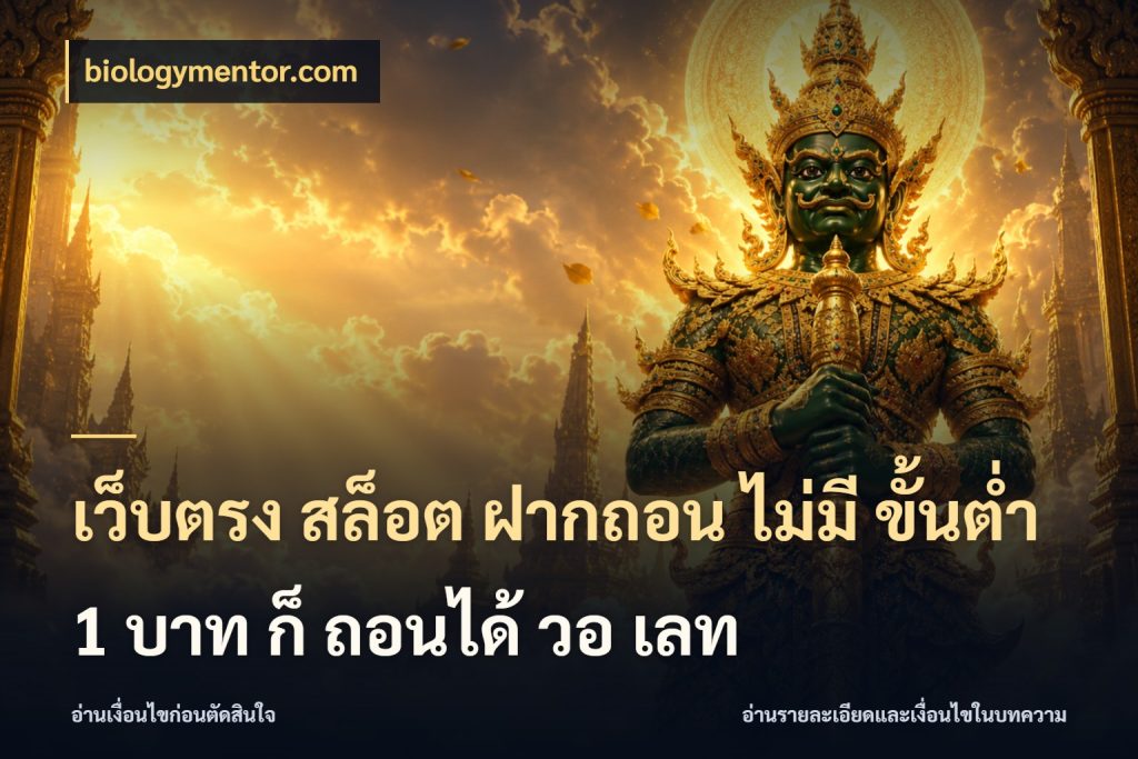 เว็บตรง สล็อต ฝากถอน ไม่มี ขั้นต่ำ 1 บาท ก็ ถอนได้ วอ เลท เกมที่ชอบในขอบเขตเงินของตัวเอง กับ biologymentor.com