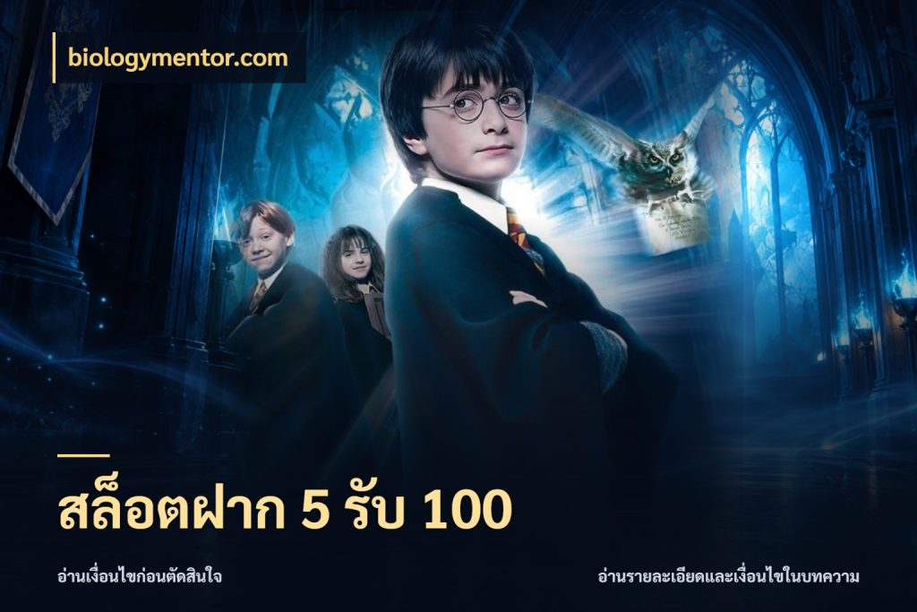 สล็อตฝาก 5 รับ 100 สนุกกับตัวเลือกโปรในสไตล์ของคุณ สไตล์ biologymentor.com