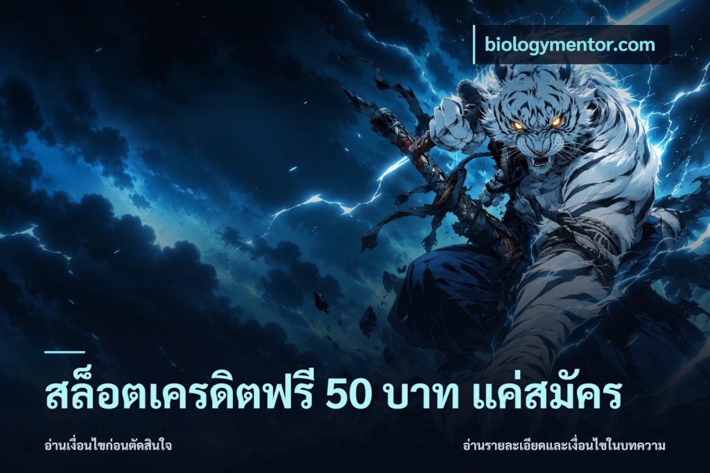 สล็อตเครดิตฟรี 50 บาท แค่สมัคร