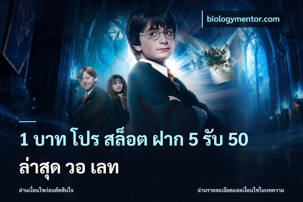 1 บาท โปร สล็อต ฝาก 5 รับ 50 ล่าสุด วอ เลท