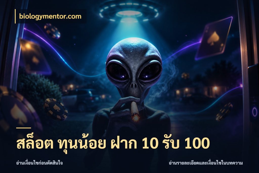 สล็อต ทุนน้อย ฝาก 10 รับ 100 จับคู่โบนัสกับสไตล์เกมที่ชอบ กับ biologymentor.com