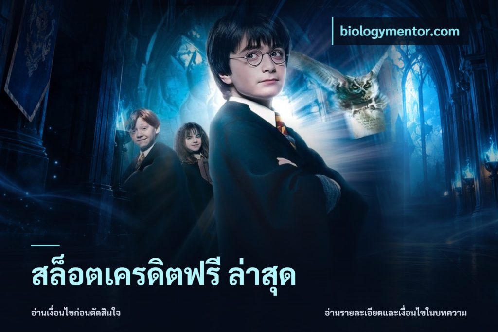 สล็อตเครดิตฟรี ล่าสุด