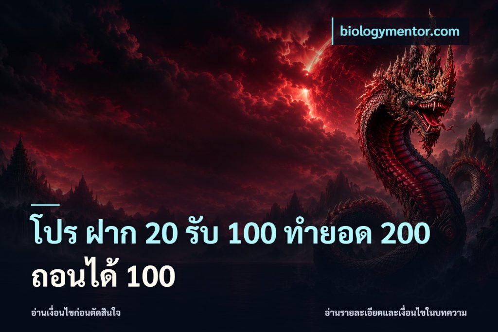 โปร ฝาก 20 รับ 100 ทำยอด 200 ถอนได้ 100