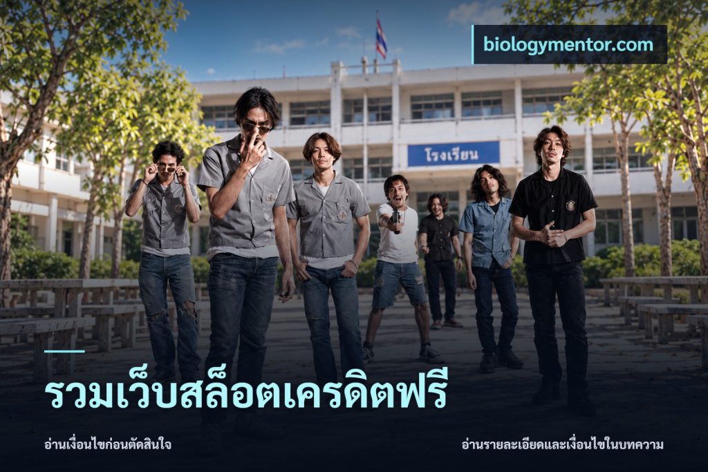 รวมเว็บสล็อตเครดิตฟรี