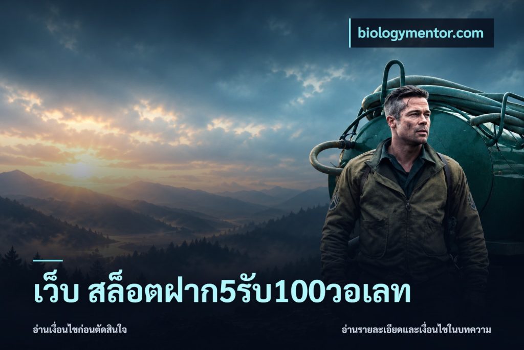 เว็บ สล็อตฝาก5รับ100วอเลท