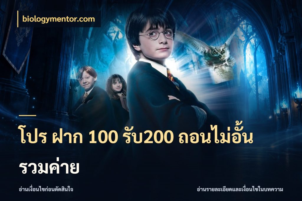 โปร ฝาก 100 รับ200 ถอนไม่อั้น รวมค่าย เครดิตกับรูปแบบโปรที่ตรงใจ ในมุม biologymentor.com
