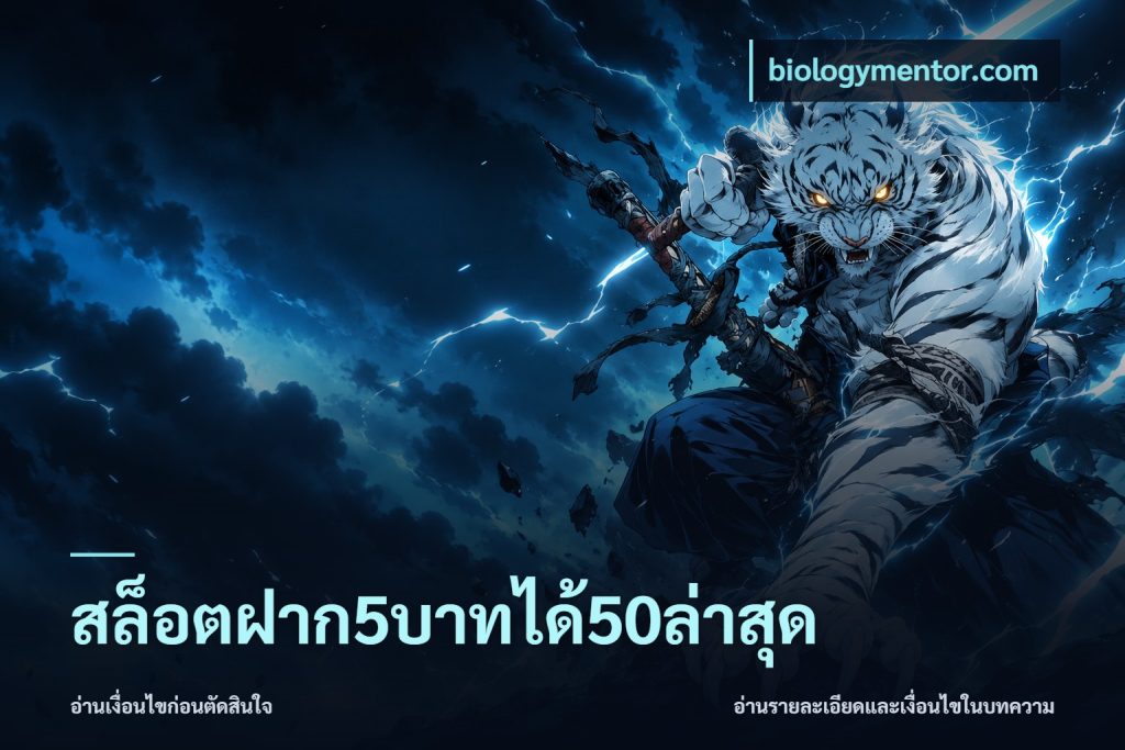 สล็อตฝาก5บาทได้50ล่าสุด