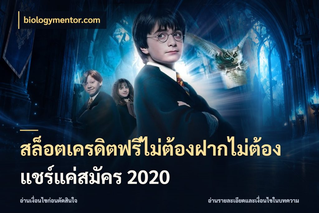 สล็อตเครดิตฟรีไม่ต้องฝากไม่ต้องแชร์แค่สมัคร 2020 เครดิตฟรีกับจังหวะลุ้นที่คุณเลือก สไตล์ biologymentor.com