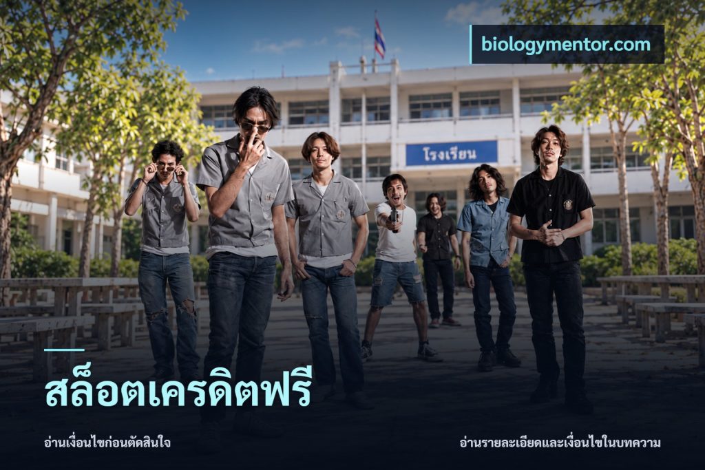 สล็อตเครดิตฟรี