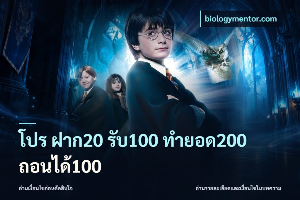 โปร ฝาก20 รับ100 ทำยอด200 ถอนได้100
