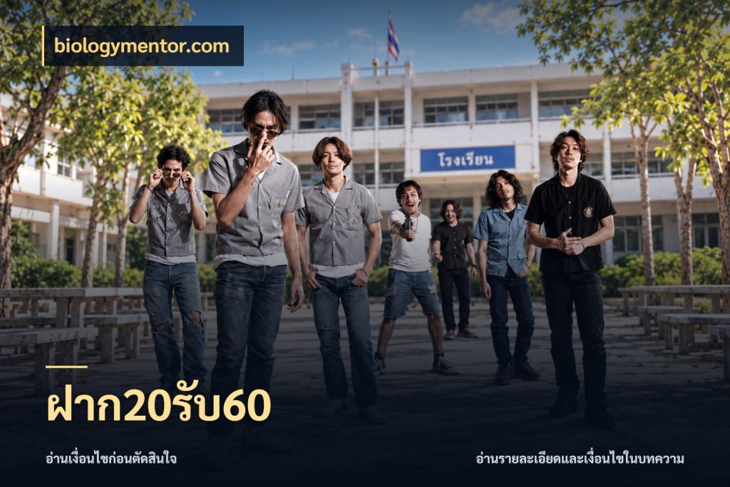 ฝาก20รับ60 biologymentor.com เปิดมุมโปรให้เข้ากับเกมแนวโปรด