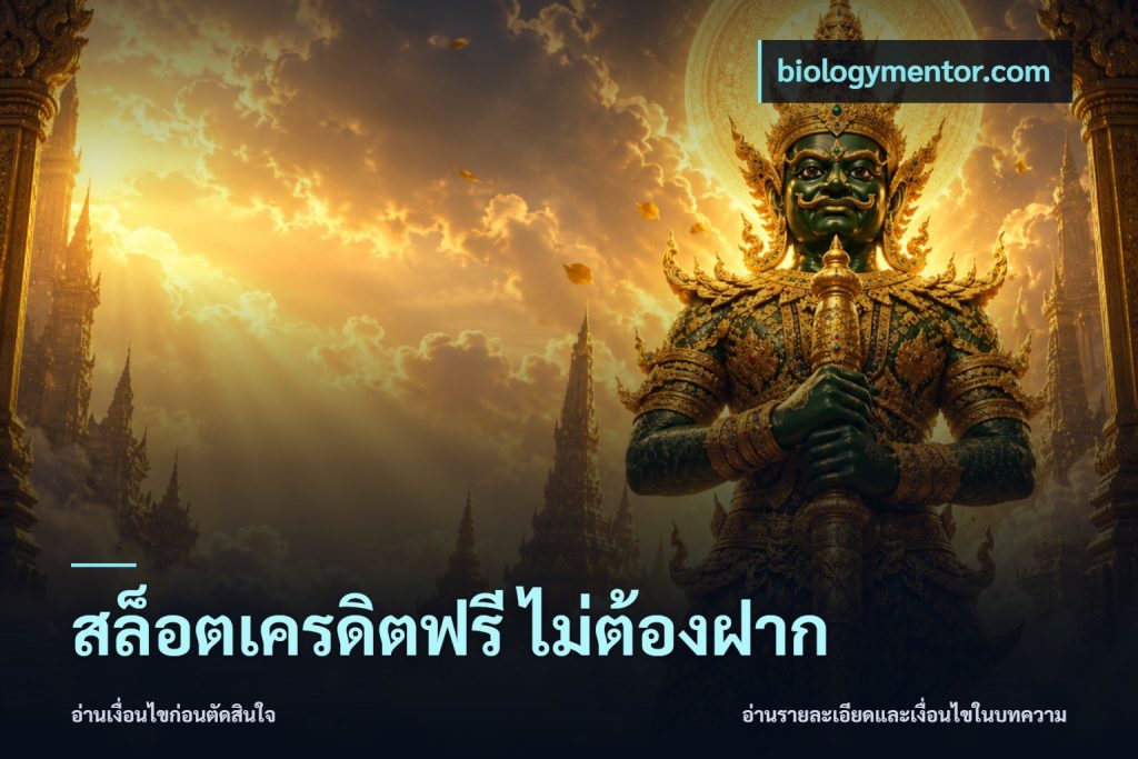 สล็อตเครดิตฟรี ไม่ต้องฝาก