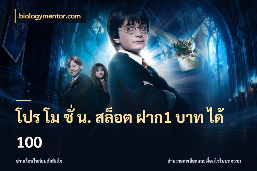 โปร โม ชั่ น. สล็อต ฝาก1 บาท ได้ 100 รูปแบบโบนัสกับสิทธิ์ของสายเกม สไตล์ biologymentor.com