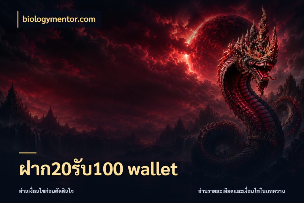 ฝาก20รับ100 wallet สนุกกับตัวเลือกโปรในสไตล์ของคุณ สไตล์ biologymentor.com