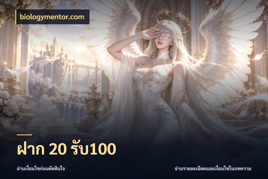 ฝาก 20 รับ100 รูปแบบโบนัสกับสิทธิ์ของสายเกม ในมุม biologymentor.com