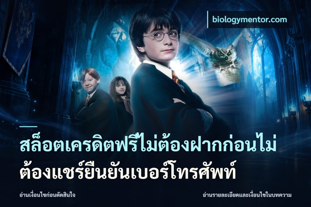 สล็อตเครดิตฟรีไม่ต้องฝากก่อนไม่ต้องแชร์ยืนยันเบอร์โทรศัพท์