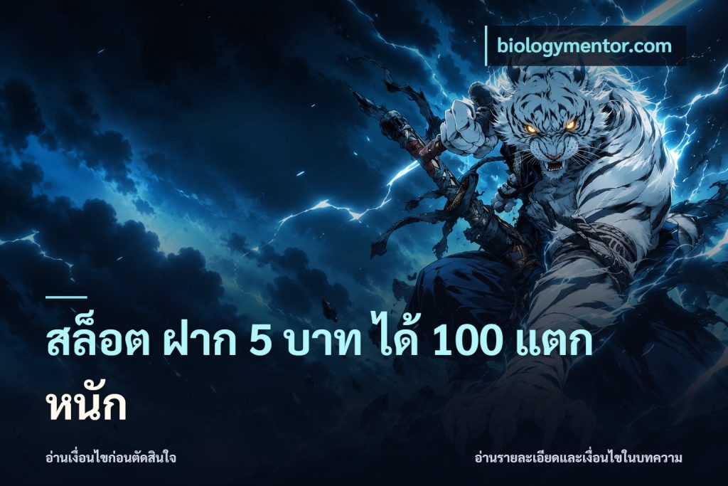สล็อต ฝาก 5 บาท ได้ 100 แตก หนัก