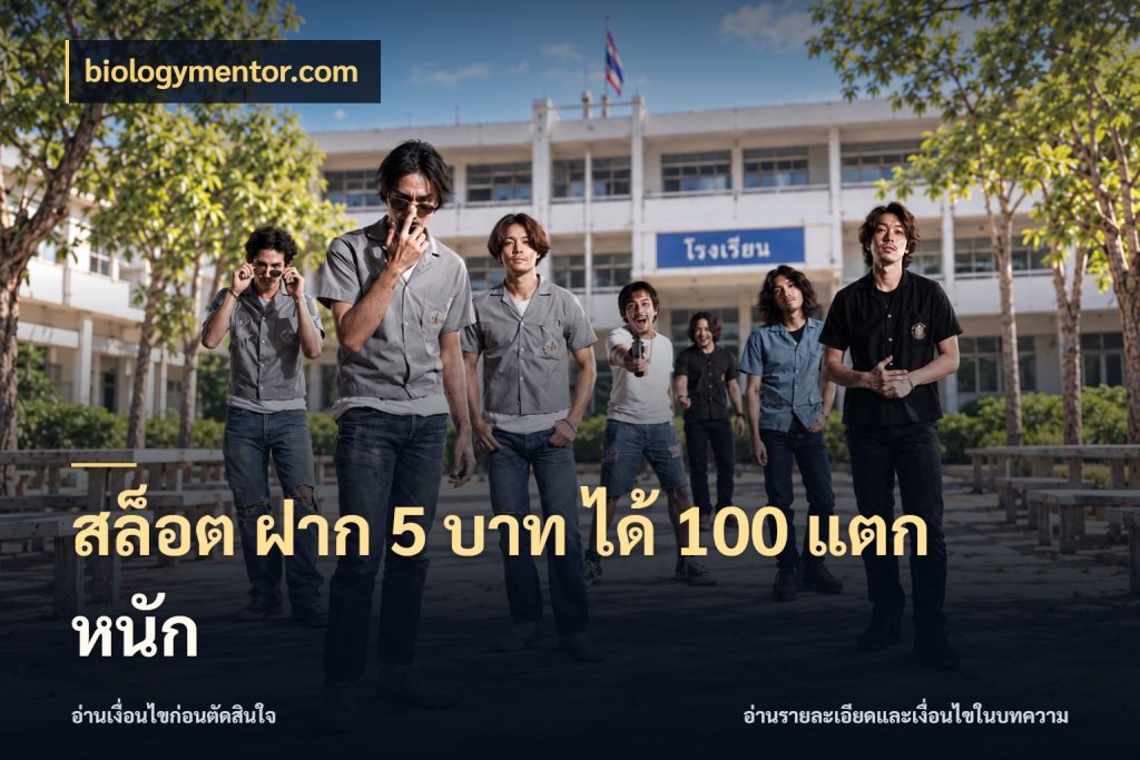 สล็อต ฝาก 5 บาท ได้ 100 แตก หนัก โปรยอดรับที่สายเกมสนใจ สไตล์ biologymentor.com