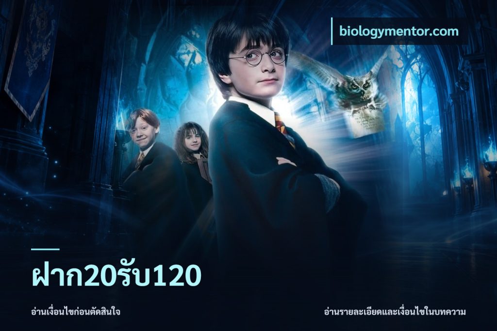 ฝาก20รับ120