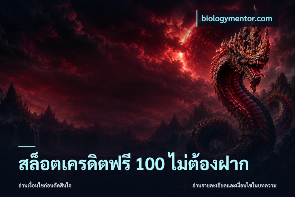 สล็อตเครดิตฟรี 100 ไม่ต้องฝาก