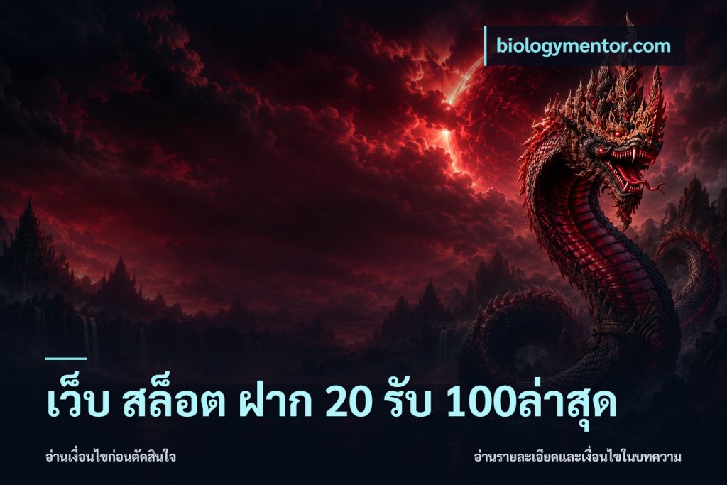 เว็บ สล็อต ฝาก 20 รับ 100ล่าสุด
