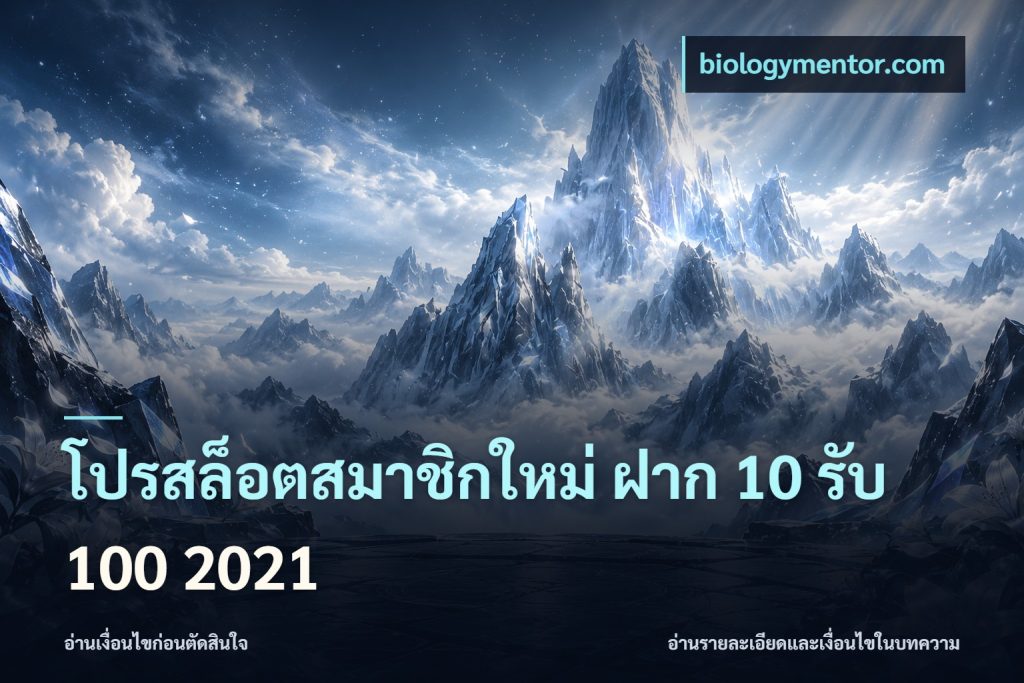 โปรสล็อตสมาชิกใหม่ ฝาก 10 รับ 100 2021
