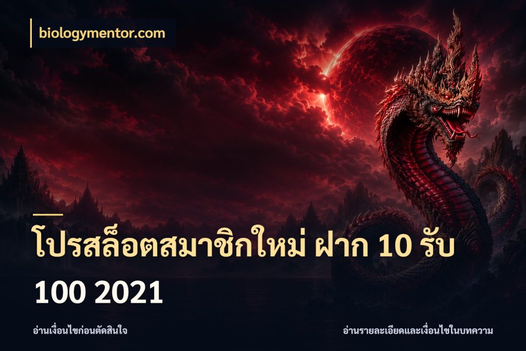 โปรสล็อตสมาชิกใหม่ ฝาก 10 รับ 100 2021 biologymentor.com โปรกับเกมที่ชอบเลือกให้ตรงสไตล์
