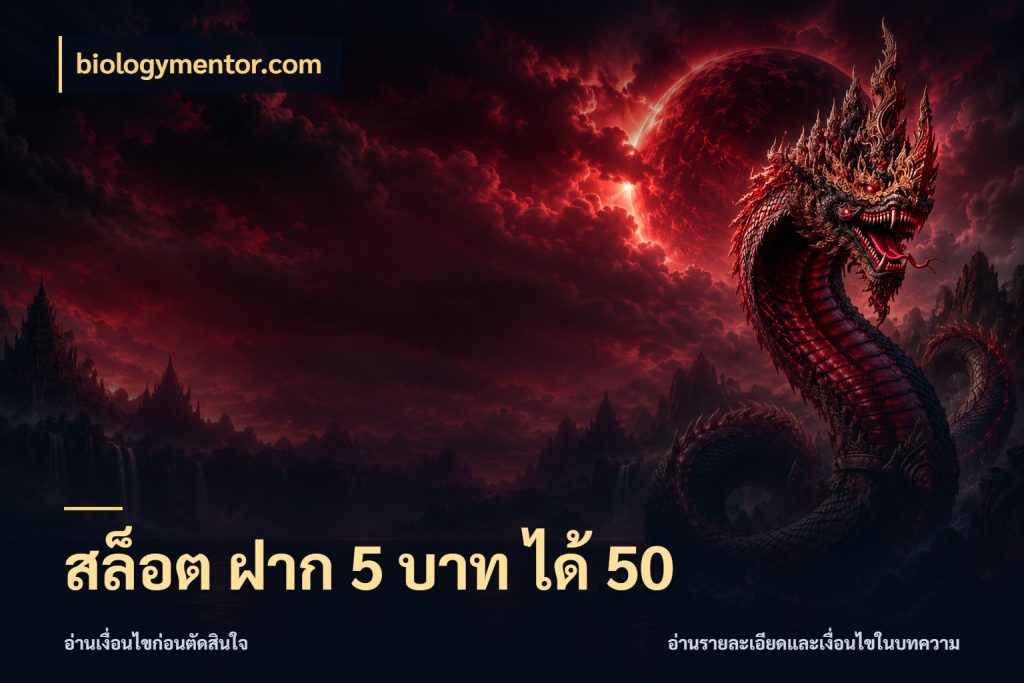 สล็อต ฝาก 5 บาท ได้ 50 สายโบนัสเลือกจังหวะสนุกได้อย่างไร สไตล์ biologymentor.com
