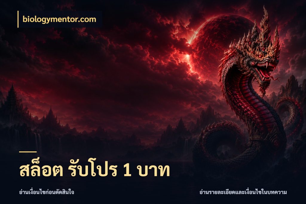 สล็อต รับโปร 1 บาท สายทุนน้อยเลือกความสนุกให้พอดี กับ biologymentor.com